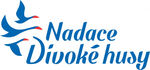 divoke husy (1)